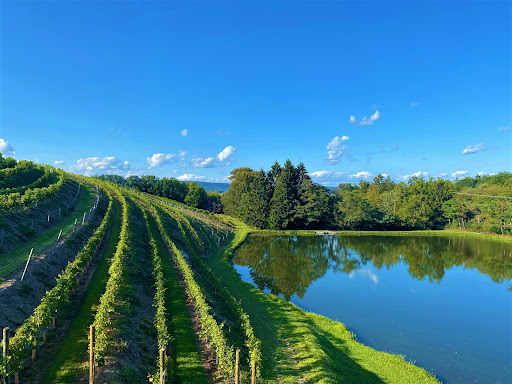 Blue Mountain Vineyards & Cellars