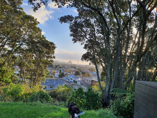 Marsland Hill Reserve - Thumbnail