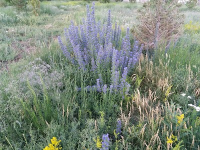 Photos of Oblastnaya Mechet'
