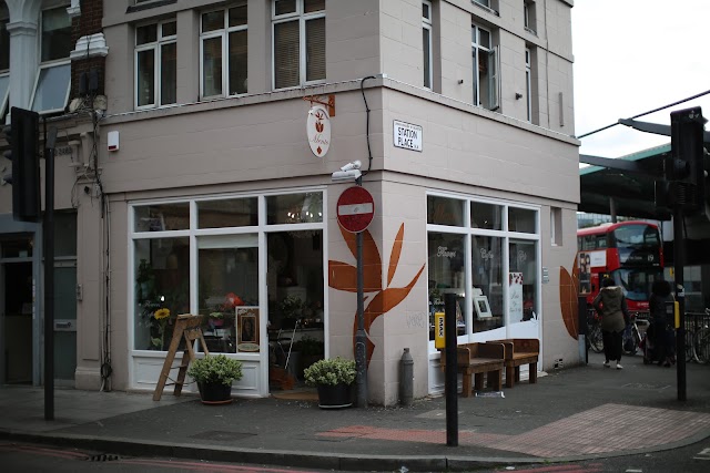 Mento Flowers and Coffee