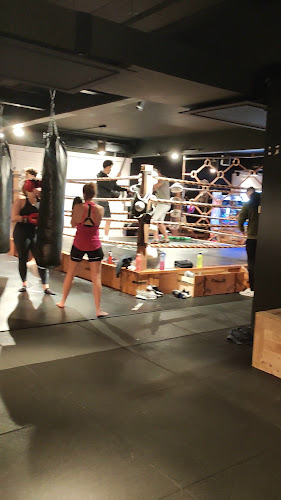 Beoordelingen van Brooklyn gym Schulen in Hasselt - Sportschool