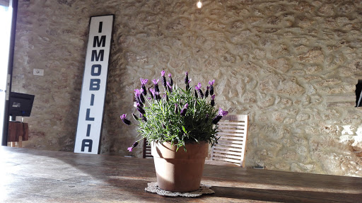 Polidori Immobiliare - Thumbnail