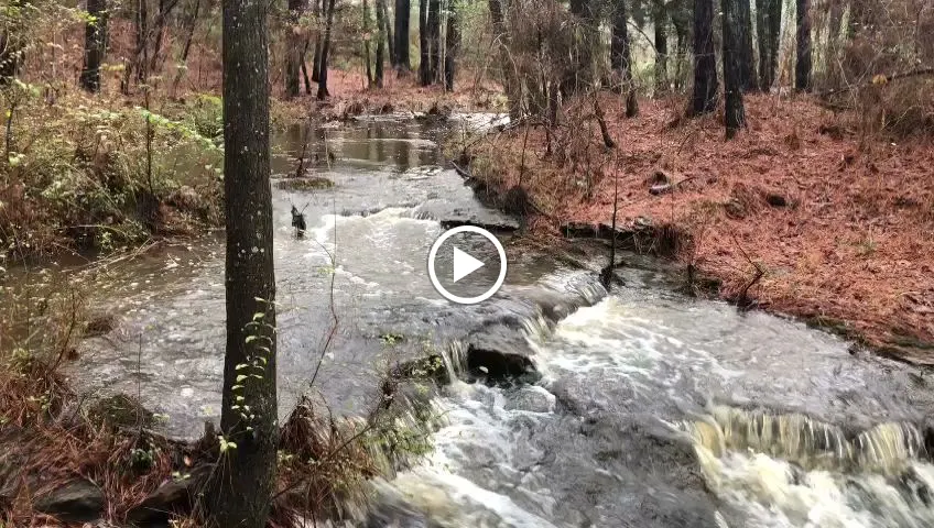 Cascading Falls RV Park