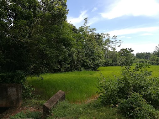 Pushparama Temple, Author: Ruwan Nanayakkara