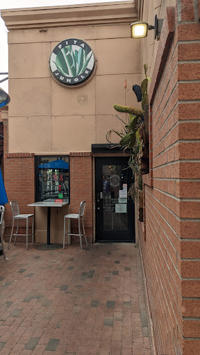 Pita Jungle - Tempe