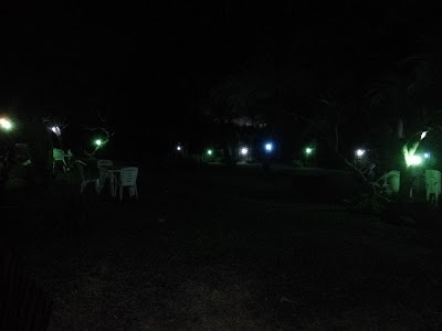 Photos of Hangoutz Garden By Millenium Park