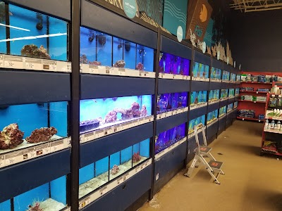 Petco