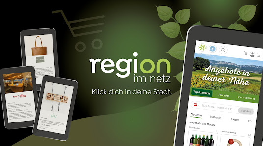 Region im Netz Keplergasse 54, 2630, Österreich