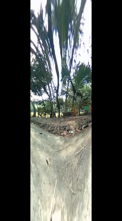 Photos of Mosharaf Bd Pigeon Loft