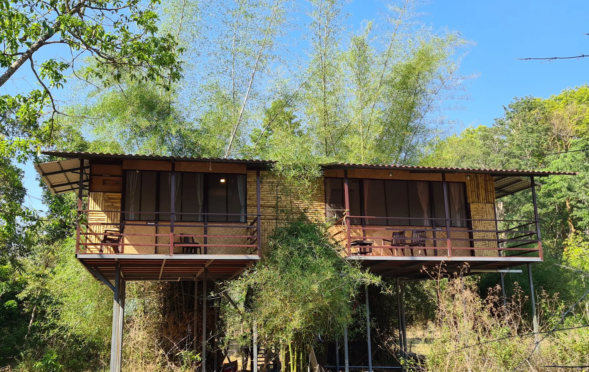 Deep Jungle Home
