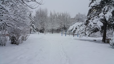 Photos of "Druzhba"