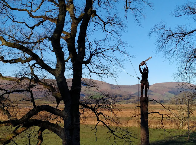 Arbcore - Tree Services - Landscaper