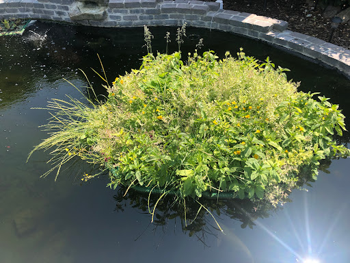 Koitec André Ahrens Japan Koi - ponds - Technology - Thumbnail