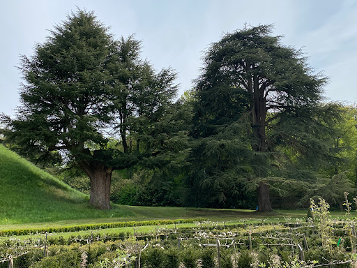 Photo de Château Louise de La Vallière à Reugny (37380)