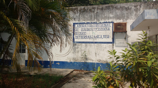 Laboratorio Regional De Diagnostico Zoosanitario De Tierra Blanca