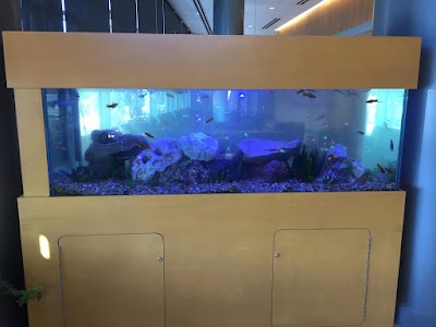 Aquarium Management Systems