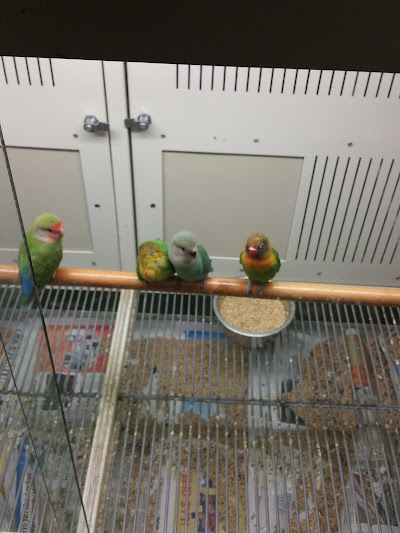 Photos of The Ark Pet Shop