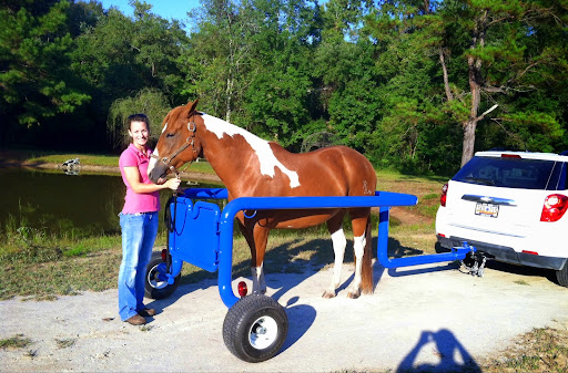 Myrtle Beach Equine Clinic Logo