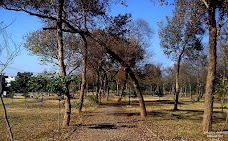 Kachnar Park islamabad