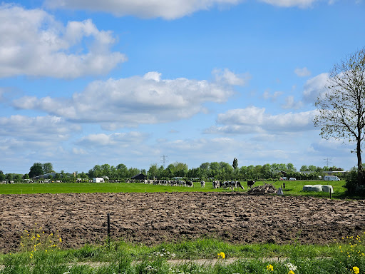 Parkeerplaats Natuur- en recreatiegebied Nieuw Wulven. - Thumbnail