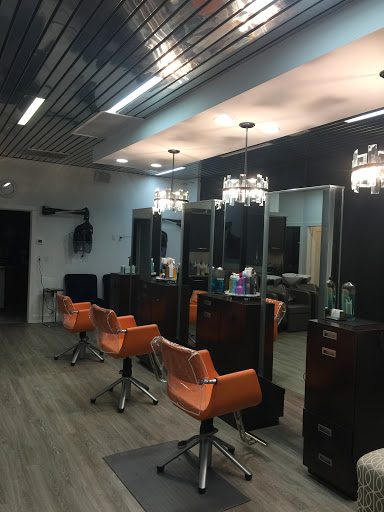 Salon Aquatica - Visual