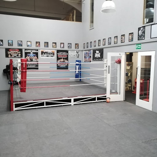 Motiv8 Studio - Boxing & Martial Arts Fitness Studio - Thumbnail