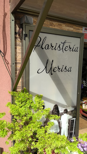 Merisa - Visual