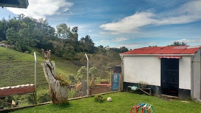 Photos of Plaza Principal