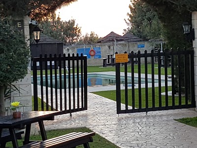 Photos of Camel Park