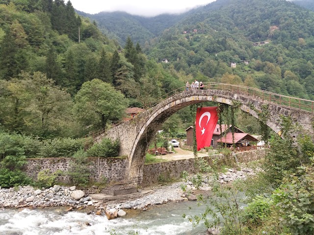 Pokut Yaylası