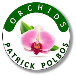 Photo n°7 de Patrick POLBOS Orchids à Sinceny (Fleuriste)