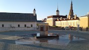 Фотография Естественная история Республики Татарстан, Казань, Россия