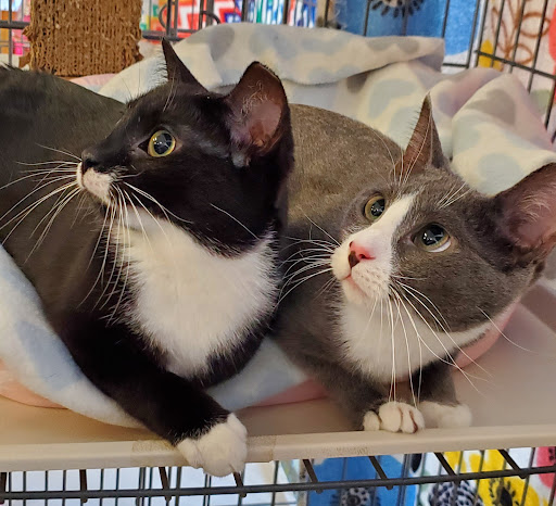 Amwell Pet Supply - Thumbnail