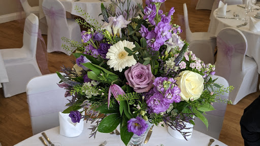 Stems of Beauty Ltd.