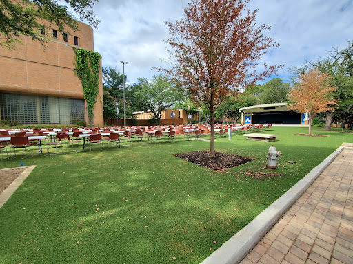 Brazos Park - Visual