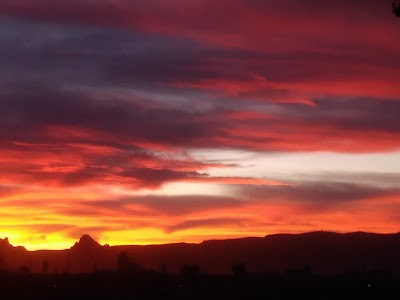 Viola Neuschwanger, R1 of Las Cruces, New Mexico