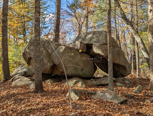 Whitney and Thayer Woods - United States