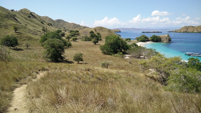 Pink Beach