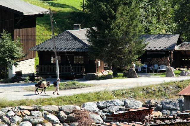 Gorges des Tines