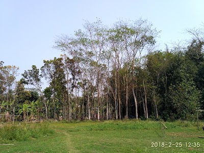 Photos of আক্কেল মাহমুদ মুন্সী কান্দি