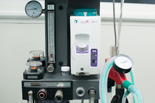 Photo n°12 de Clinique Vétérinaire Vetolac à Le Bourget-du-Lac (Vétérinaire)