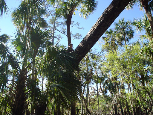 Little Big Econlockhatchee Wildlife Management Area - Kilbee Unit