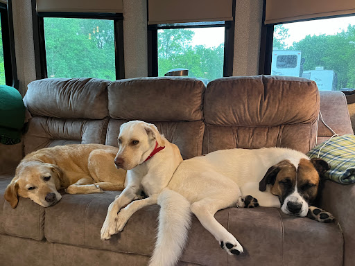 River Ridge Pet Clinic - Thumbnail