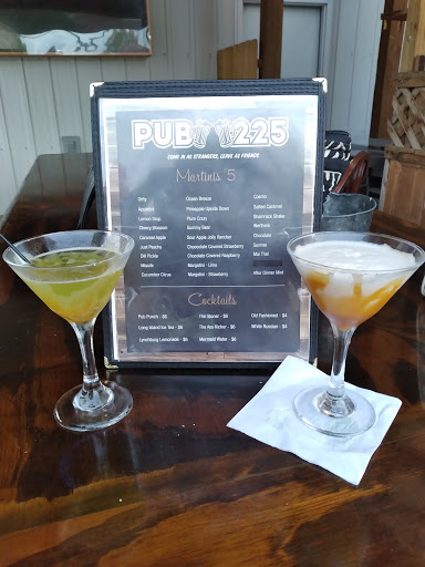 Pub 225 - Visual