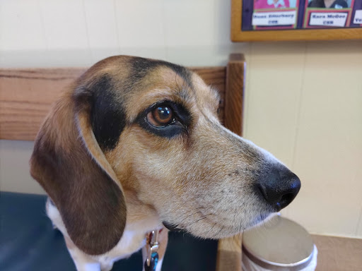 Pinole Pet Hospital - Thumbnail