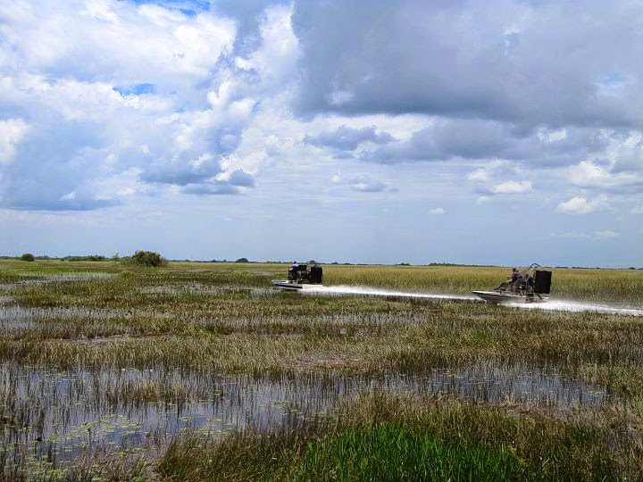 Down South Airboat Tours