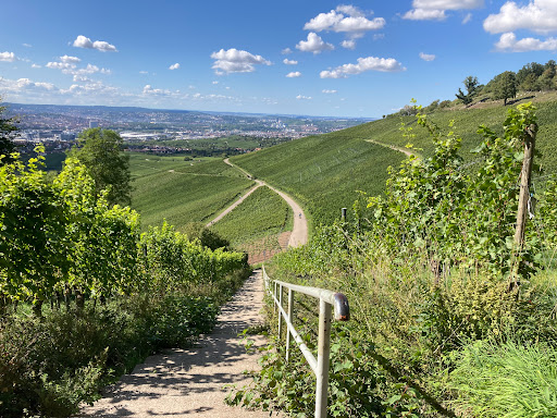 Treppen im Weinberg