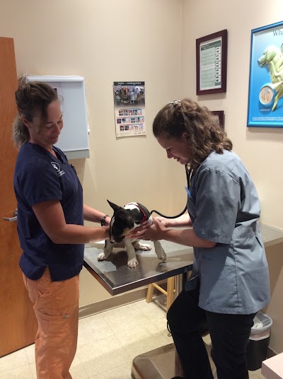 Clarksburg Animal Hospital