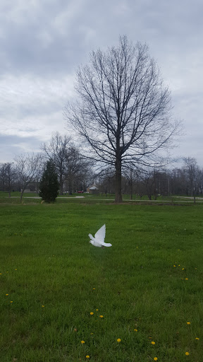 Angelic Doves 'The Dove Release Company' - Thumbnail