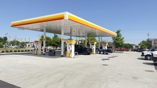 Taylor Shell llc - Visual